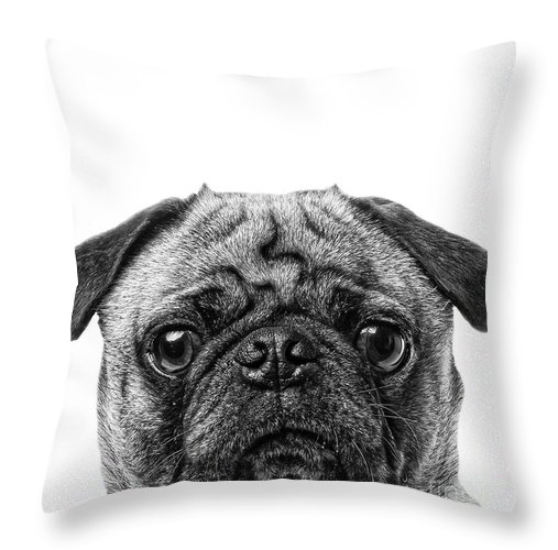 Pug dog throw pillow